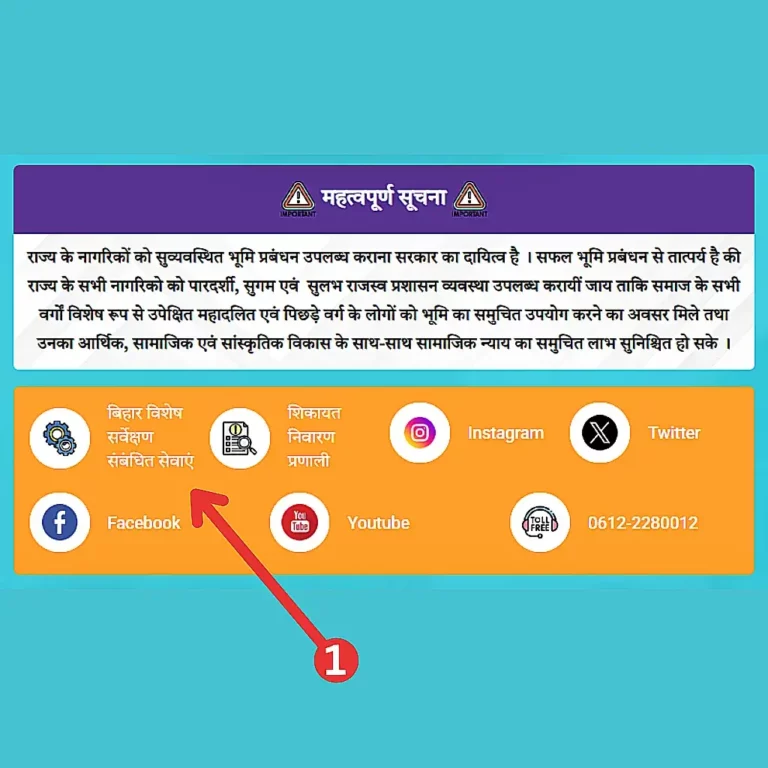 विशेष सर्वेक्षण सेवाएं